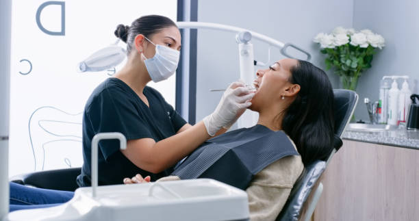 Best Root Canal Treatment  in Palm Harbor, FL