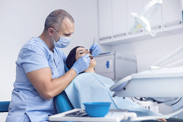 Best Traditional Braces  in Palm Harbor, FL